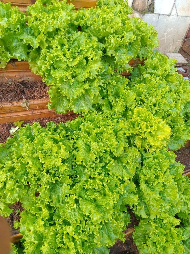 photo 21 2026 01 17 10 57 25