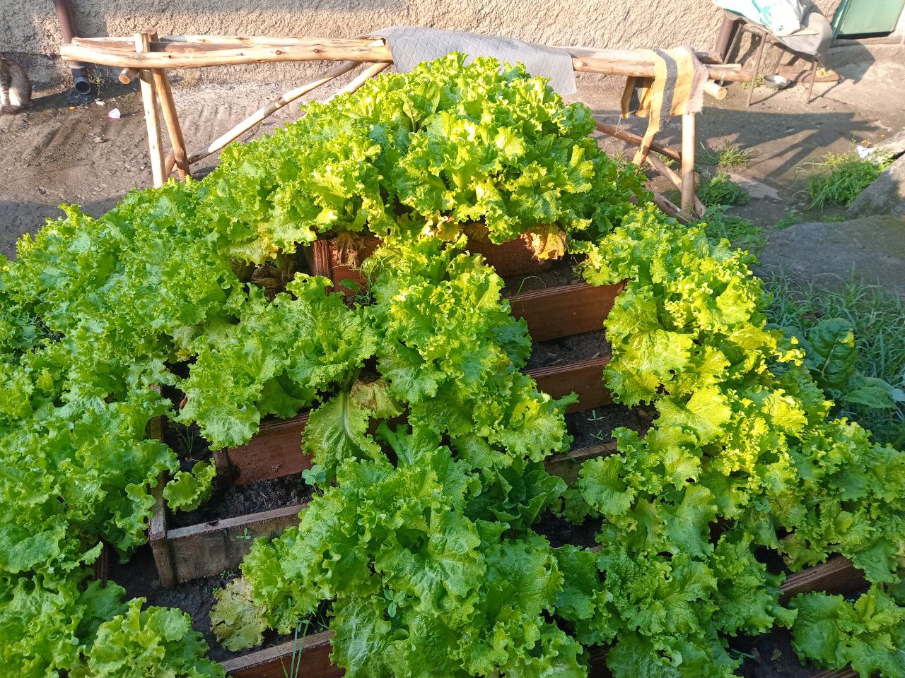 photo 25 2026 01 17 10 57 25