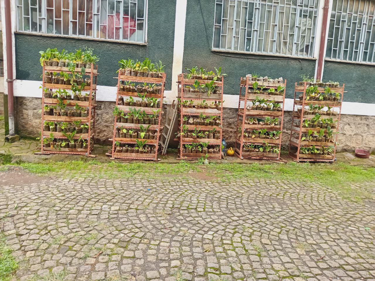 photo 28 2026 01 17 10 57 25