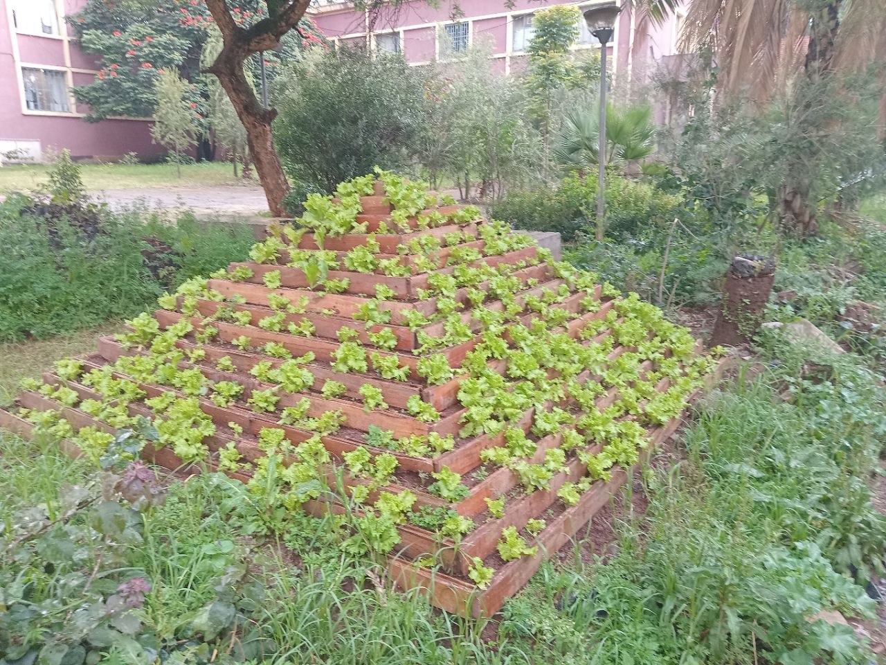 photo 30 2026 01 17 10 57 25