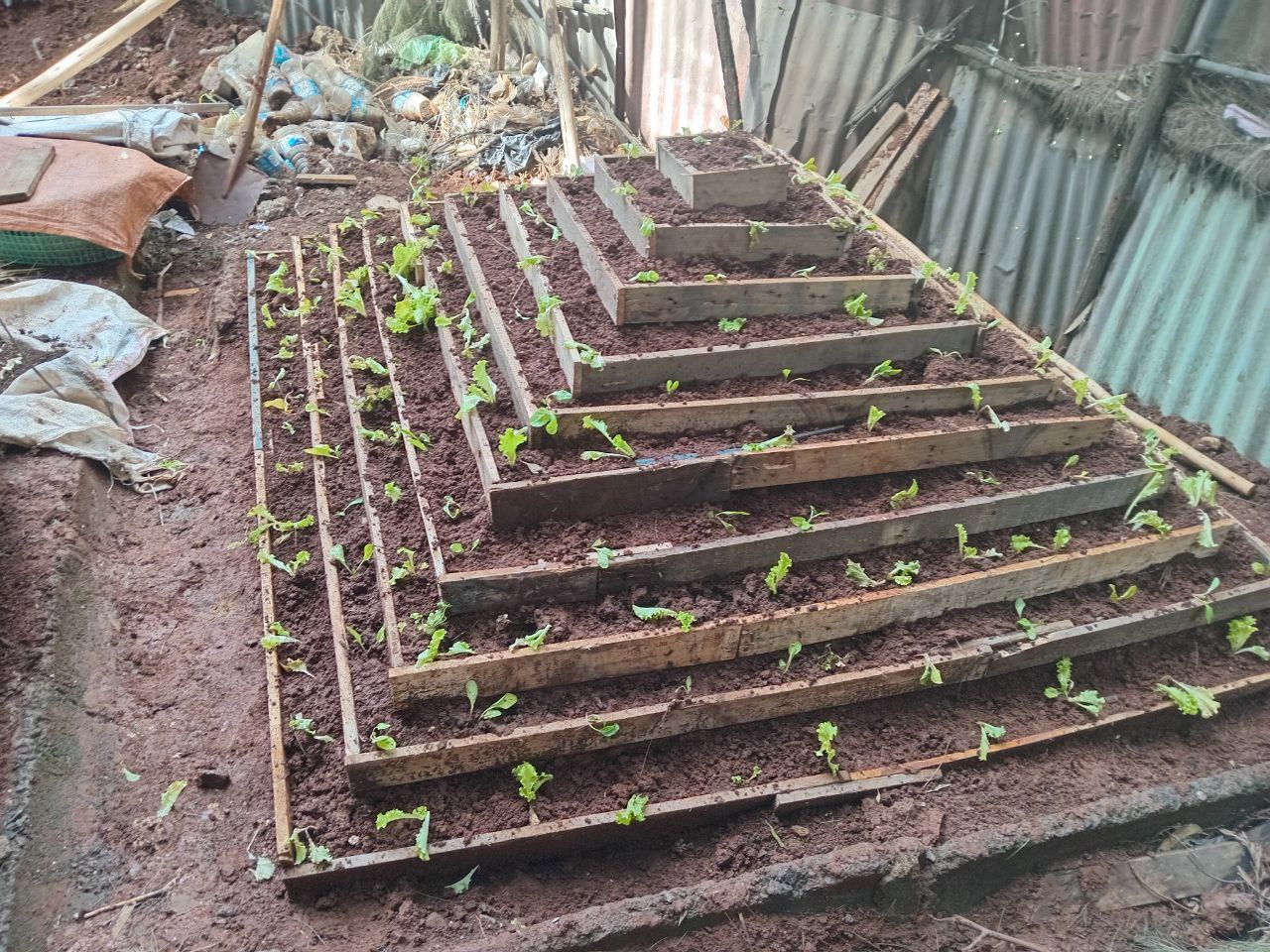 photo 9 2026 01 17 10 57 25