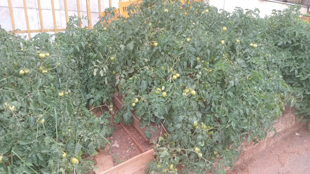 photo 23 2026 01 17 10 57 25