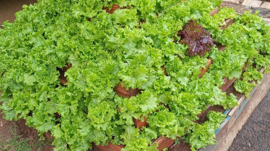 photo 24 2026 01 17 10 57 25