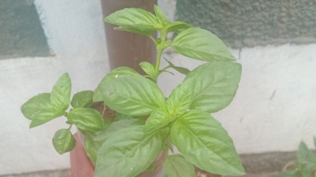 photo 4 2026 01 17 10 57 25